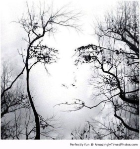 What-can-you-see-here